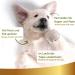 Natural Sun Protection Spray for Dogs & Cats | 250ml Sunscreen Fluid - Linea 101 - Buy Online on SooperMarket.com