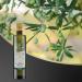 Extra Virgin Olive Oil - Olearia del Garda 750 ml | Premium Italian Oil for International Shipping - Buy Online on SooperMarket.com