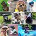 Pawaboo Adjustable Dog Baseball Cap XL Blue - Sun Protection Outdoor Sport Hat for Small Dogs with Ear Holes - Buy Online on SooperMarket.com