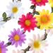 Multicolor Floral Headband Set - 5 Pack with Adjustable Elastic Band | Stylish Accessories for All Occasions | International Shipping Available - Buy Online on SooperMarket.com