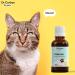 Dr Corbyn Pets Valerian Drops | Calming Supplement for Dogs, Cats & Pets | Supports Relaxation & Stress Relief (50ml) - Buy Online on SooperMarket.com