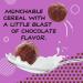 Chocolate Wonderworks Keto Friendly Cereal - 1g Sugar, 10.2 oz | Perfect Keto Snack - Buy Online on SooperMarket.com