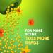 Gain Fireworks Island Fresh Scent Booster Beads 20.1oz - Pack of 1 - Buy Online on SooperMarket.com