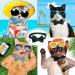 4-Piece Cat Bow Tie Collar Set | Breakaway and Velvet Material | Cute Safety Pet Collar for Kitten and Puppy - Black, Gray, Dark Green, Blue - Buy Online on SooperMarket.com