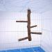 Mogoko Natural Wood Bird Perch Stand - Hanging Multi Branch Perch for Parrots, Parakeets, Cockatiels, Conures, Macaws, Love Birds, Finches - Style 1 - Buy Online on SooperMarket.com