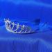 Frcolor 5th Birthday Crown Tiara for Girls | Crystal Rhinestone Princess Headband | 5 Years Old Gift - Buy Online on SooperMarket.com
