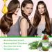 Organic Rosemary Oil for Hair Growth | 4.04 Fl Oz with Scalp Massager | Pure Essential Oil for Eyelashes Eyebrows & Skin Care - Buy Online on SooperMarket.com
