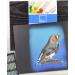 Professional Soft Pastel Paper Pad | 12X16 Inches | Black Paper | 230gsm | 24 Sheets | 2 Pack - Buy Online on SooperMarket.com