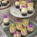 Rsstarxi 24 Pack Class of 2024 Cupcake Toppers 2024 Graduation Food Appetizer Picks 2024 Congrats Grad Cap Done Diploma Cupcake Picks for 2024 Graduation Theme Party Cake Decorations Gold Purple - Buy Online on SooperMarket.com