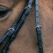Buy Star Waldhausen Bridle Hannover Black Pony Premium Quality Equestrian Gear for International Shipping - Buy Online on SooperMarket.com