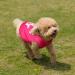 6 Pack Dog Shirt Puppy Clothes for Chihuahua - Breathable Dog Outfit - Summer Cat and Dog Clothes - Dachshund Puppy Accessories - Printed Dog Shirts - Medium - Buy Online on SooperMarket.com
