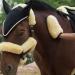 Merauno Horse Sheepskin Grooming Mitt Lambskin Cleaning Glove (Natural) - Buy Online on SooperMarket.com