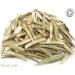 Organic Olive Leaf Pure Herbal Infusion (25 Unbleached Tea Bags - 50g) - Buy Online on SooperMarket.com