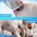Cloudvalley Airtag Dog Collar - IPX8 Waterproof GPS Tracker for Apple Airtags - Lightweight Easy Install Anti-Loss Cover for Dogs & Cats - Buy Online on SooperMarket.com