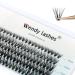 Individual Cluster Lashes C Curl 0.07mm Mixed 8-16mm 30 Root Cluster Eyelash Extensions Grafting Individual Cluster Eyelashes 30D DIY Lashes Clusters Lash Extensions(Clusters-30D-0.07-C-816) RR-8-16mm Clusters-30D-0.07-C