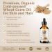 Organic Wheat Germ Oil 4oz - Bella Terra Oils | Vitamin E & C Face Oil for Natural Glow & Suppleness - Buy Online on SooperMarket.com