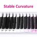 VEYES INC YY Lash Extensions Tray - C/D Curl 9-15mm Mixed Length Premade Volume Eyelash Fans | Professional Supplies Matte Black 5D-W 0.07 D-curl - Buy Online on SooperMarket.com