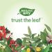 Nature's Way Ginseng Siberian Health Supplement 100 Capsules - Buy Online on SooperMarket.com