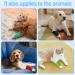 12 Rolls Self-Adhesive Bandage - Elastic & Non-Woven for Athletes & Pets | 7.5cm x 4.5m - Buy Online on SooperMarket.com