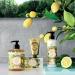 Panier des Sens Provence Hand Cream with Shea Butter and Olive Oil - 2.6floz/75ml - Buy Online on SooperMarket.com