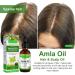 Amla Hair Oil Indian Amla Oil for Hair Amla Oil for Hair Growth Scalp Oil Nourishes Scalp Indian Hair Oil for Skin and Face Amla Essential Oil Hair Growth Oil for Women for Long Soft Strong Hair 60ml - Buy Online on SooperMarket.com