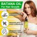 Batana Oil for Hair Growth 120ml Raw Batana Oil Organic from Honduras - for Thicker & Stronger Hair Scalp and Hair Oil Men & Women All Hair Types - Buy Online on SooperMarket.com
