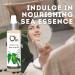Ola Tropical Apothecary Rainforest Scented Deep Sea Mist - 4 Fl Oz Rainforest 4 Fl Oz - Buy Online on SooperMarket.com