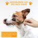 2 Pieces Dog Tear Comb Dog Eye Comb Tear Stain Remover Comb Dog Eye Grooming Comb Double-Sided for Removing Crust and Mucus - Buy Online on SooperMarket.com
