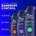 Head & Shoulders Clinical Oil Control Shampoo for Stubborn Dandruff 400 mL Strength Dandruff Defense + Advanced Oil Control - Buy Online on SooperMarket.com