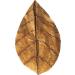Arka Myscape Catappa Leaves - 10 Natural Seafaring Tree Leaves for Freshwater Aquariums | 8-12cm Enhances Fish & Shrimp Health - Buy Online on SooperMarket.com