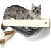 HeyKitten Stud Mounted Cat Hammock & Climbing Stairs Combo - Lounging, Napping, Playing & Jumping Solution - Buy Online on SooperMarket.com