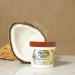Garnier Fructis Nourishing Treat 1 Minute Hair Mask with Coconut Extract - 3.4 fl oz - Buy Online on SooperMarket.com