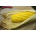 Premium Corn Husks for Tamales Hojas de Tamal Natural 4 Lbs - Buy Online on SooperMarket.com