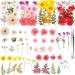 109 Piece Real Dried Pressed Flowers Set with Tweezers - Craft DIY Candle Resin Jewelry Nail Pendant Making Supplies - Buy Online on SooperMarket.com