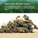 Oriarm Taiwan Jasmine Oolong Green Tea - 100g Loose Leaf - Alishan High Mountain Wulong Tea - Natural Jasmine Flavor - Buy Online on SooperMarket.com