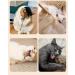 Nepfaivy Cat Toys for Indoor Cats - Silvervine Stick Cat Chew Toy 6 PCS Cat Nip Toy for Teeth Cleaning Natural Dental Catnip Sticks for Kittens - Buy Online on SooperMarket.com