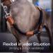 Freudenier Adjustable Dog Leash for Medium & Large Dogs - 2m Robust Nylon with Brown Leather Elements - Perfect for Chasing - Buy Online on SooperMarket.com