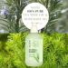 Rosemary Hair Growth Shampoo 3-in-1 | Tea Tree Mint Biotin Thickening Shampoo for Men & Women | 300ml for Hair Regrowth & Thinning Hair - Buy Online on SooperMarket.com