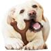 Nylabone Wishbone Dog Chew Toy for Adult Dogs - Bison Large/Giant Size | Durable Ergonomic Design | For Puppies and Adult Dogs | 1 Count - Buy Online on SooperMarket.com