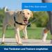 PetSafe Easy Walk Harness - Anti-Pull Dog Harness Red Size L with 1.8M Leash | Reduce Choking & Coughing | International Shipping Available - Buy Online on SooperMarket.com