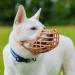 Baskerville Classic Basket Muzzle for Dogs - Pant Drink Prevent Bites & Feed Waste Breathable Design for Longer Noses - Ideal Dog Training Muzzle - Buy Online on SooperMarket.com