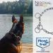 Stainless Steel Dog Chain Choker with Pull Stop for Dog Training - Short Links 4 mm Thick - Length 70 cm Dog Necklace with Strain Limiter Gesamtl nge: 70 cm Thickness: 4 mm - Buy Online on SooperMarket.com
