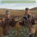 Nosiny 3-Piece Mesh Duck Decoy Bag Set | 30x47 Inch | Lightweight & Durable | For Goose, Turkey & Waterfowl | Shoulder Straps | Green - Buy Online on SooperMarket.com