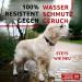 Waterproof Adjustable Dog Collar for Big & Medium Dogs | Small Dog & Puppy Collars | Durable Metal Closure - Waudog - Buy Online on SooperMarket.com