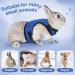 Adjustable Soft Rabbit Dishes & Elastic Leash for Small Pets - Kitty & Bunny Walking Set (Blue XS - 20-27.5cm) - Buy Online on SooperMarket.com