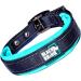 Black Rhino Comfort Collar - Super Soft Neoprene Dog Collar for All Breeds | Adjustable Reflective & Weatherproof | Aqua/Gray Medium - Buy Online on SooperMarket.com