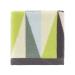 Avanti Linens - Washcloth  Soft & Absorbent Cotton Towel (Adler Collection-Harlequin) Multicolor Washcloth