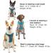 Kurgo Journey Air Dog Harness - Padded Chest & Back Handle for Dogs 2-5 kg XS Size - Blue/Gray - Buy Online on SooperMarket.com