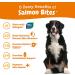 Zesty Paws Salmon Bites â€“ Skin & Coat Chews for Dogs | 90 Soft Chews, All Ages - Buy Online on SooperMarket.com
