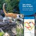 Tractive Waterproof GPS Cat Tracker - Dark Blue | Unlimited Range & Activity Monitoring - Buy Online on SooperMarket.com